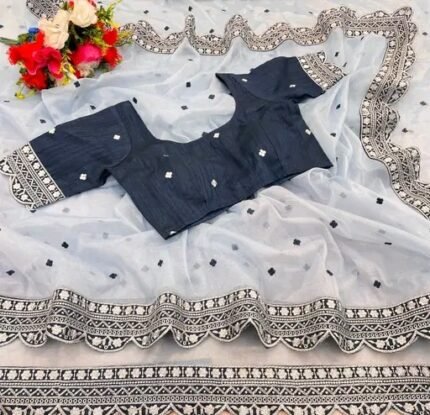 Fancy Ratro Woman saree